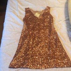 Rose gold sequin dress